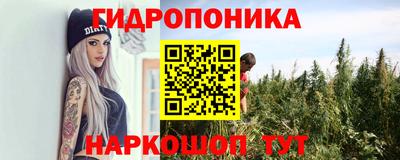 МДПВ Заволжье