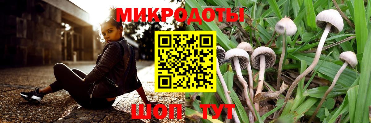 купить наркоту  Вход с VPN  Кинешма  Галлюциногенные грибы мухоморы 